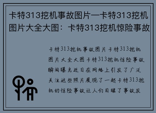 卡特313挖机事故图片—卡特313挖机图片大全大图：卡特313挖机惊险事故瞬间曝光