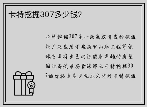 卡特挖掘307多少钱？